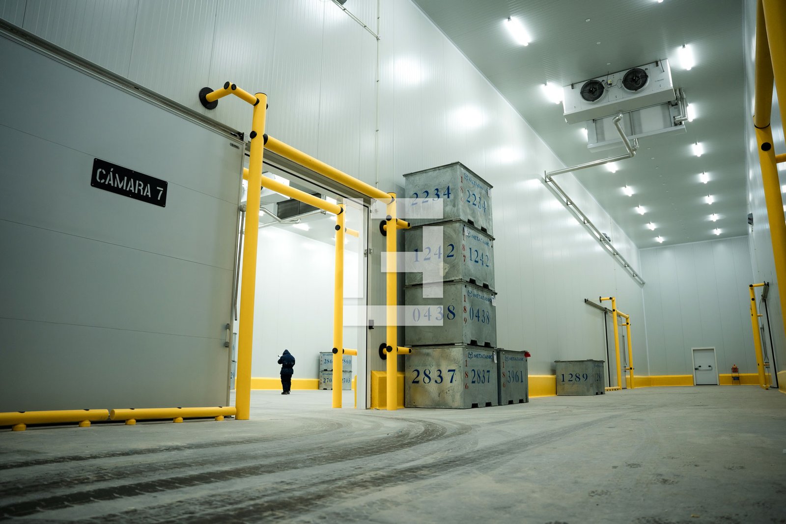 Almaservice Congelados