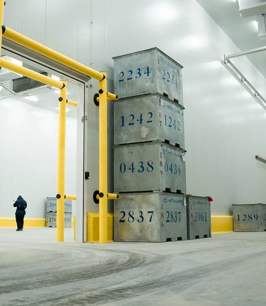 17000-Toneladas-Almaservice